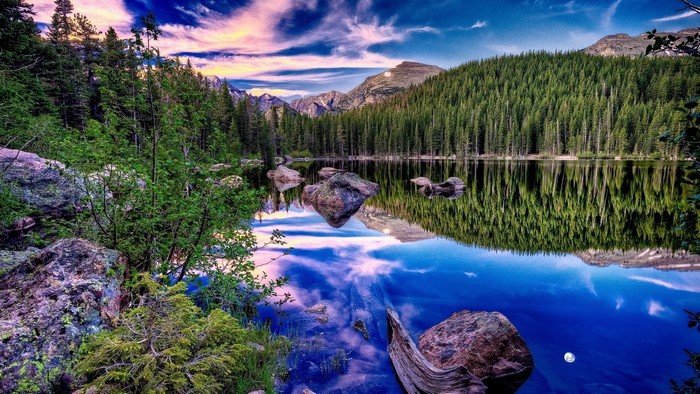 Forest lake in the mountains