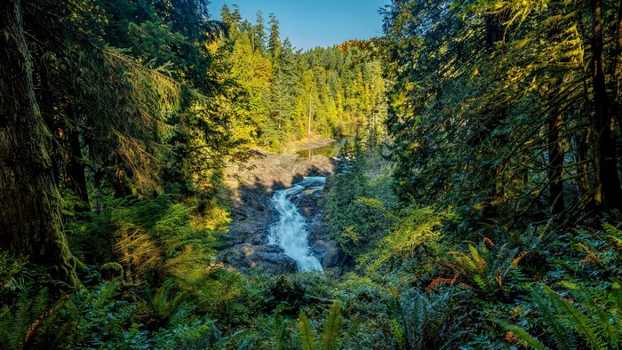 Waterfall in a forest on Vancouver Island