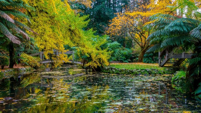 Alfred Nicholas Memorial Gardens in Autumn