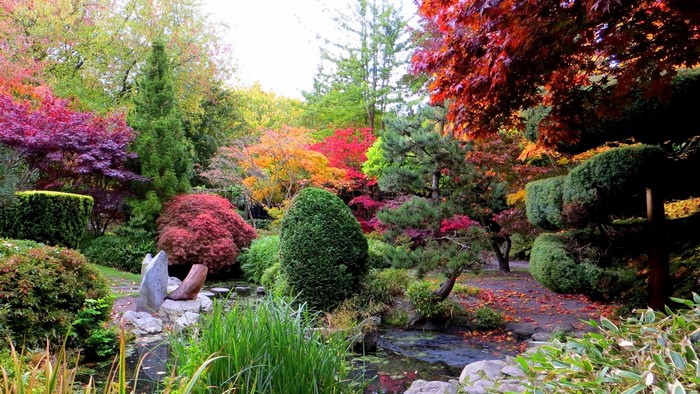 Autumn Japanese Garden with Pond