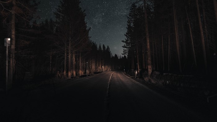 Road through a forest at night under stars