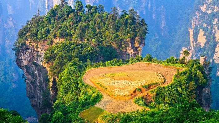 Terraced fields on a mountain peak in Zhangjiajie National Forest Park