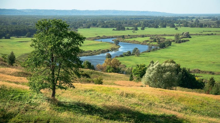 Winding river through green fields and trees