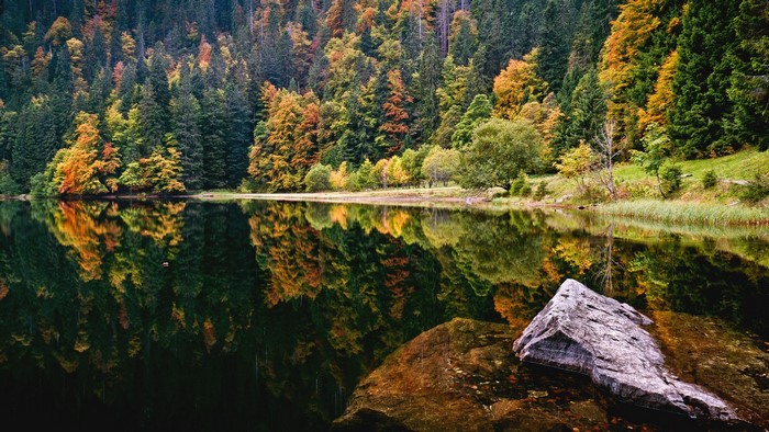 Autumn forest reflected in a lake with a rock