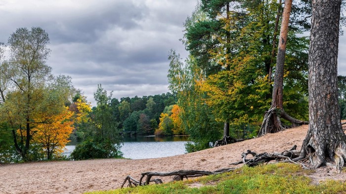 Sandy lake shore with autumn trees and cloudy sky
