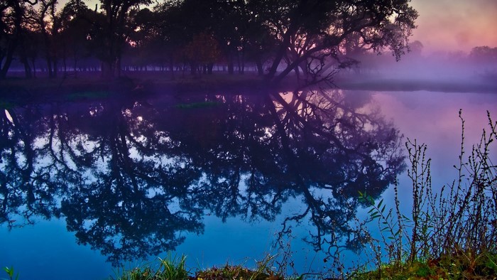 Misty lake with reflections of trees at sunrise