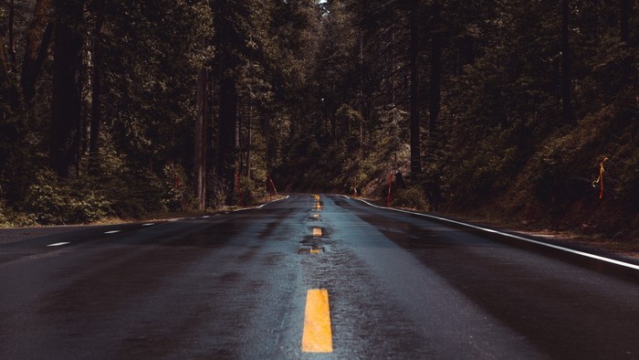 Road through a dark forest