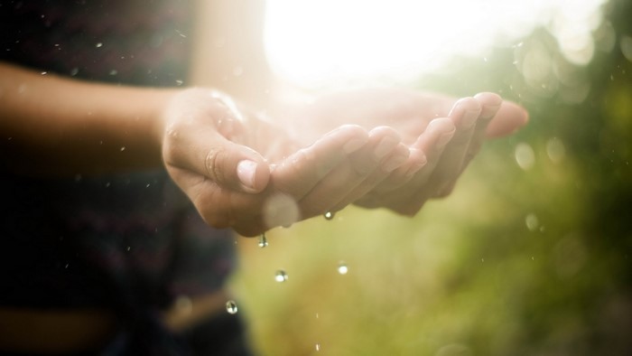 Hands catching raindrops in sunlight