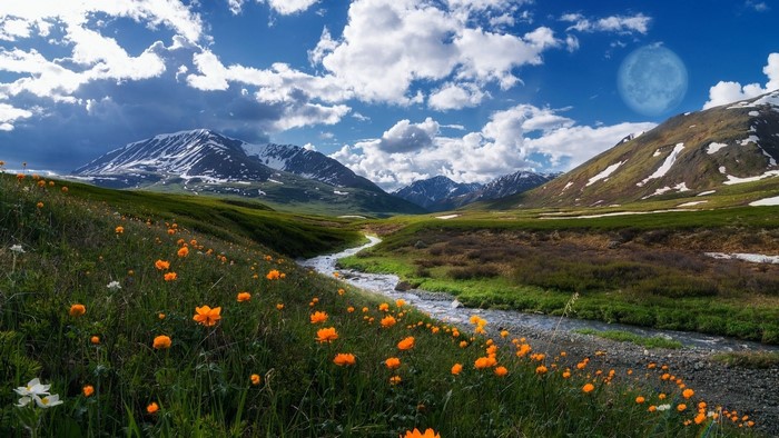 River flowing through a mountain valley with wildflowers
