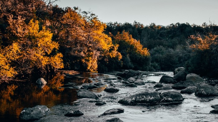 River flowing through rocks and autumn trees