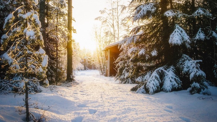 Snowy forest path with a small cabin