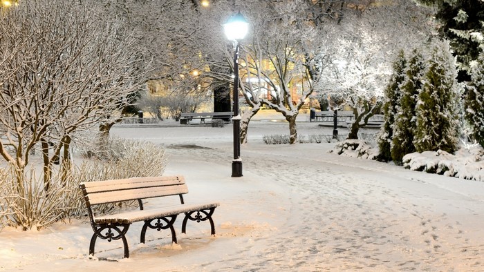 Snowy park at night with a bench and lamppost