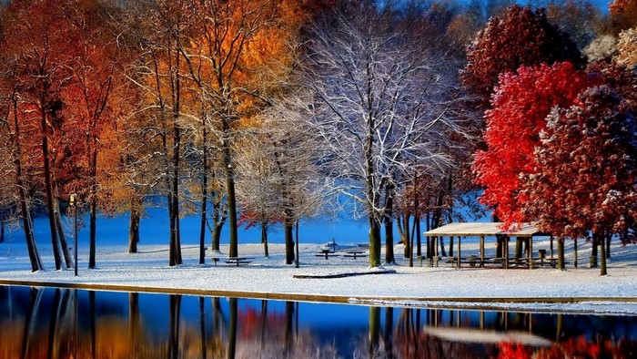 Park in winter with snow and colorful trees