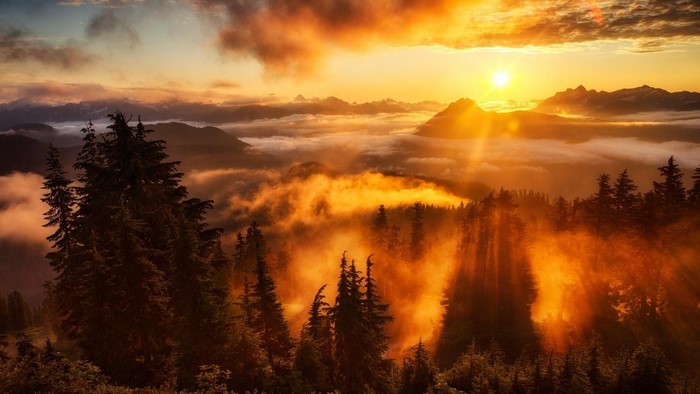 Sunset over misty mountains and pine forest