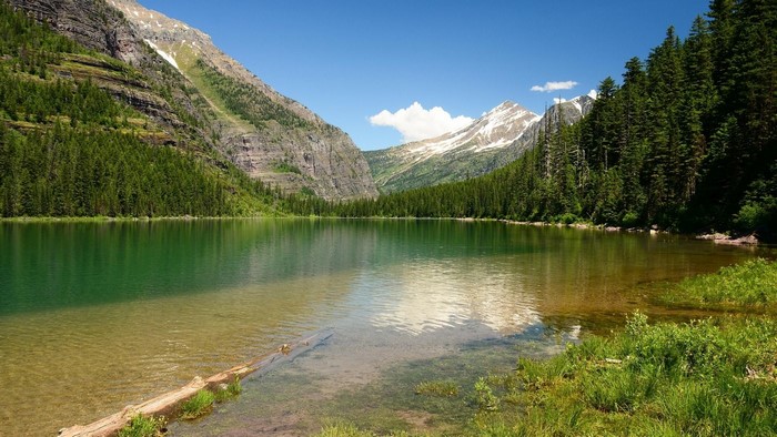 Lake surrounded by mountains and forest
