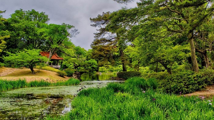 Japanese garden with pond and traditional building