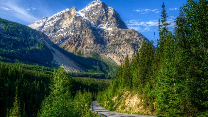 Road through Yoho National Park with Mountains