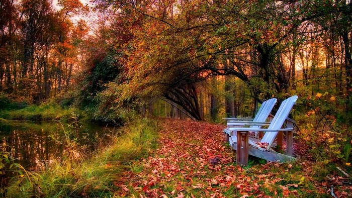 Two Adirondack chairs on a leaf-covered path by a pond in autumn