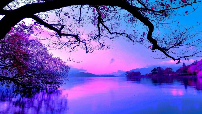 Pink and blue sky over a lake with trees
