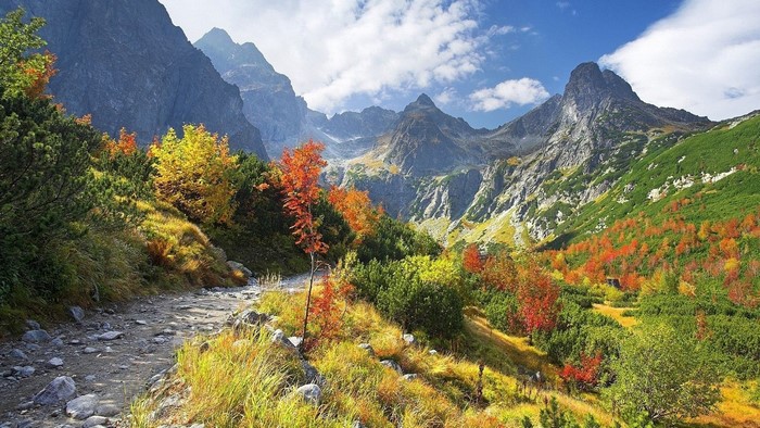 Autumn mountain valley with rocky path