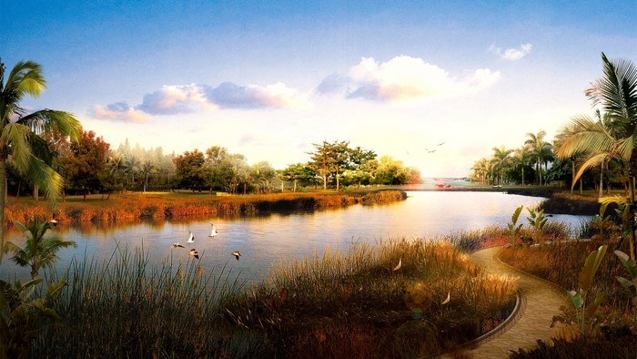 A tranquil lake surrounded by trees and palm trees
