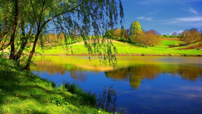 Beautiful lake with trees and green hills