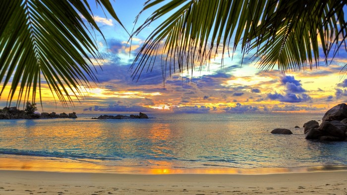 Tropical beach at sunset with palm leaves