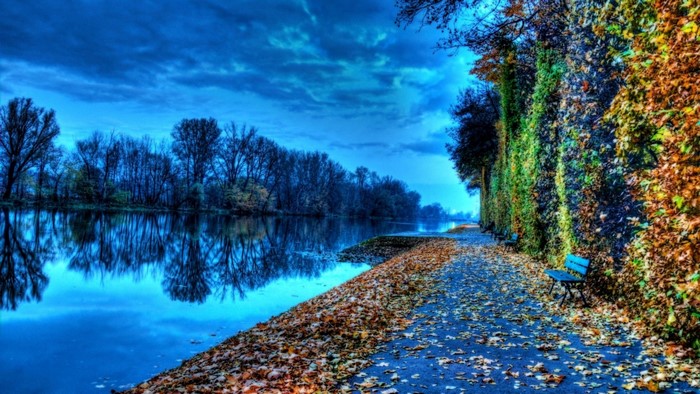 Autumn path along a river with fallen leaves