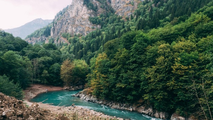 Mountain river flowing through a lush forest