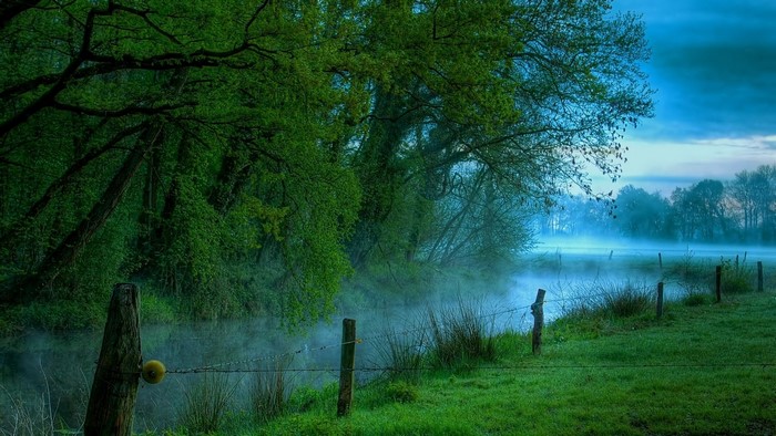 Foggy riverbank with trees and fence