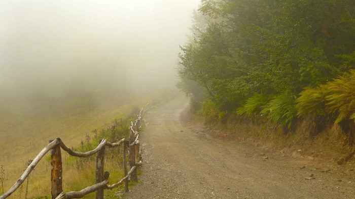 Foggy mountain path with wooden fence and trees