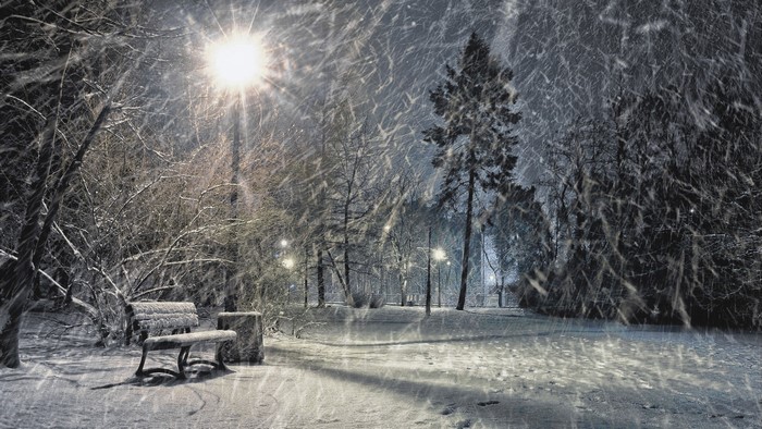 Winter park at night with snow