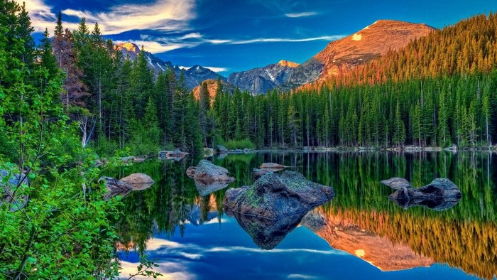 Mountain lake with pine forest and reflection