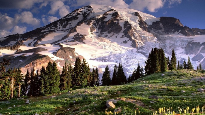 Snow-capped mountain with pine trees and meadow