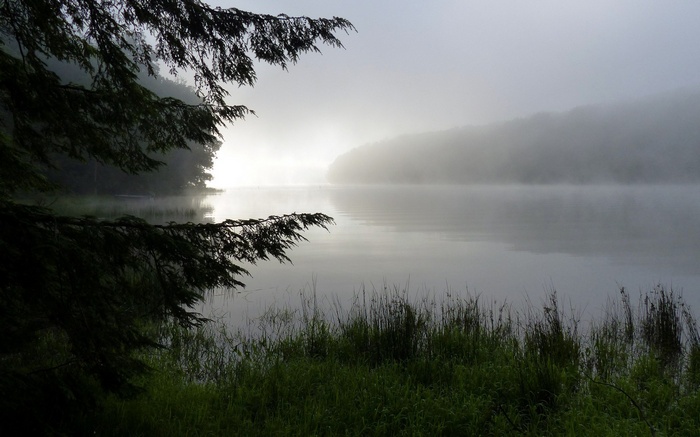 Misty lake at sunrise with trees and grass