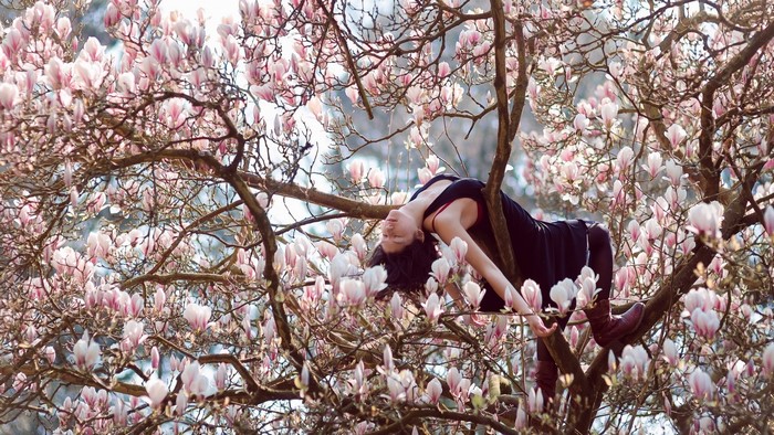 Woman in a black dress in a blooming magnolia tree