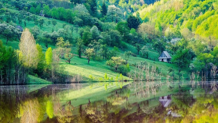 Green slope with trees and a lake