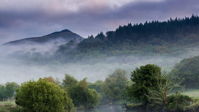 Misty Mountain Forest with River