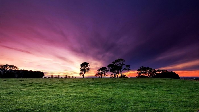 Crimson clouds over trees at sunset