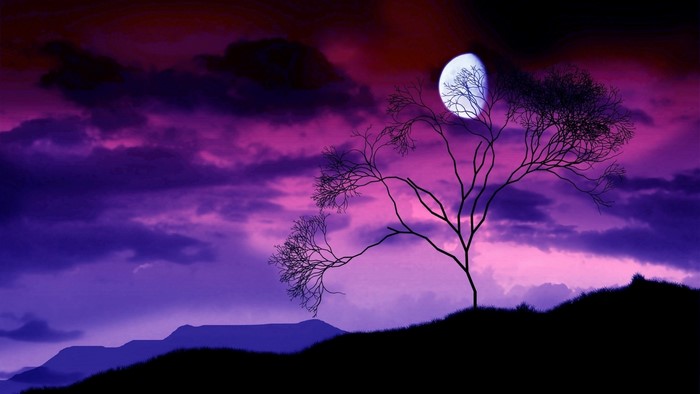 Silhouette of a tree against a purple moonlit sky