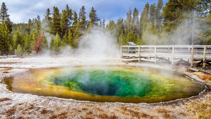 Morning Glory Pool in Yellowstone National Park