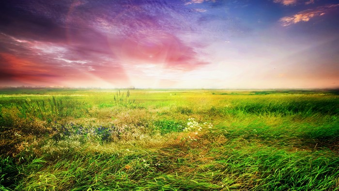 4K Sunset over a Grassy Field