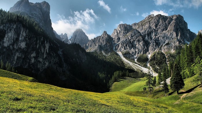 Mountain range with green meadow and trees