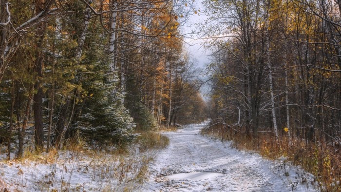 Snowy road through an autumn forest