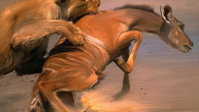 Lion attacking a deer
