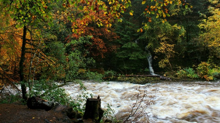 River flowing through an autumn forest with a waterfall