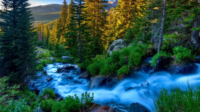 Blue river flowing through a sunlit forest