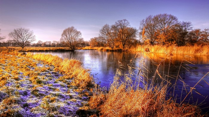 Autumn landscape with a river and trees