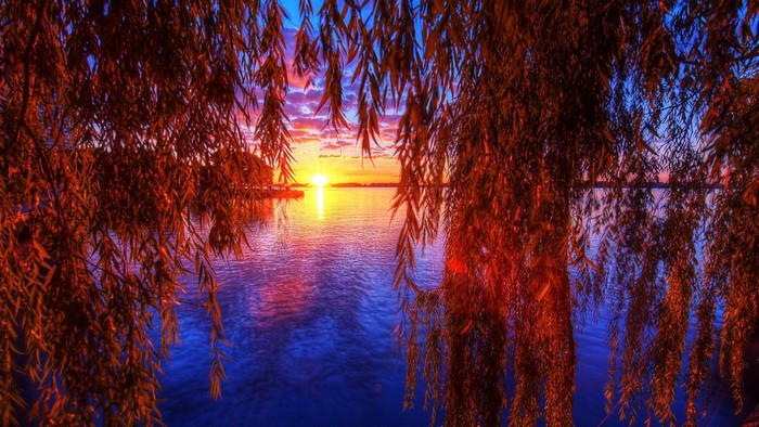 Sunset over a lake viewed through willow branches