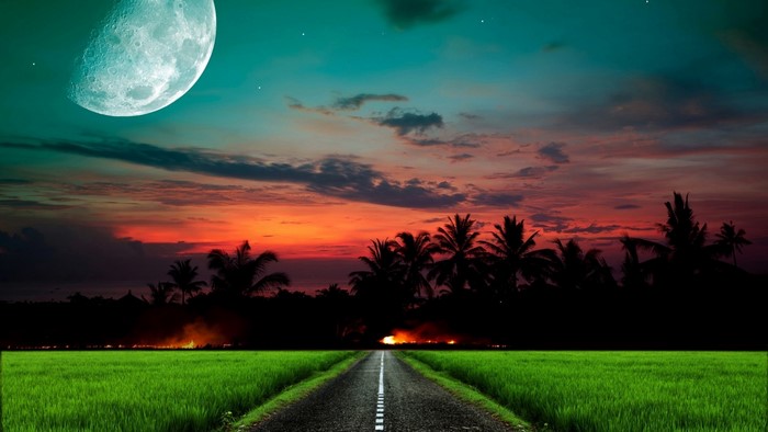 Road through a rice field at sunset with moon
